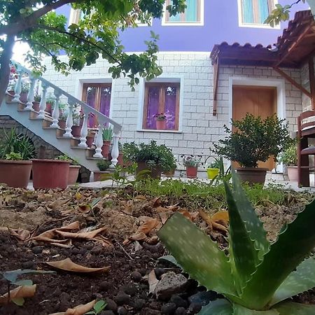 Guesthouse Hlias Gloria Berat Exterior foto