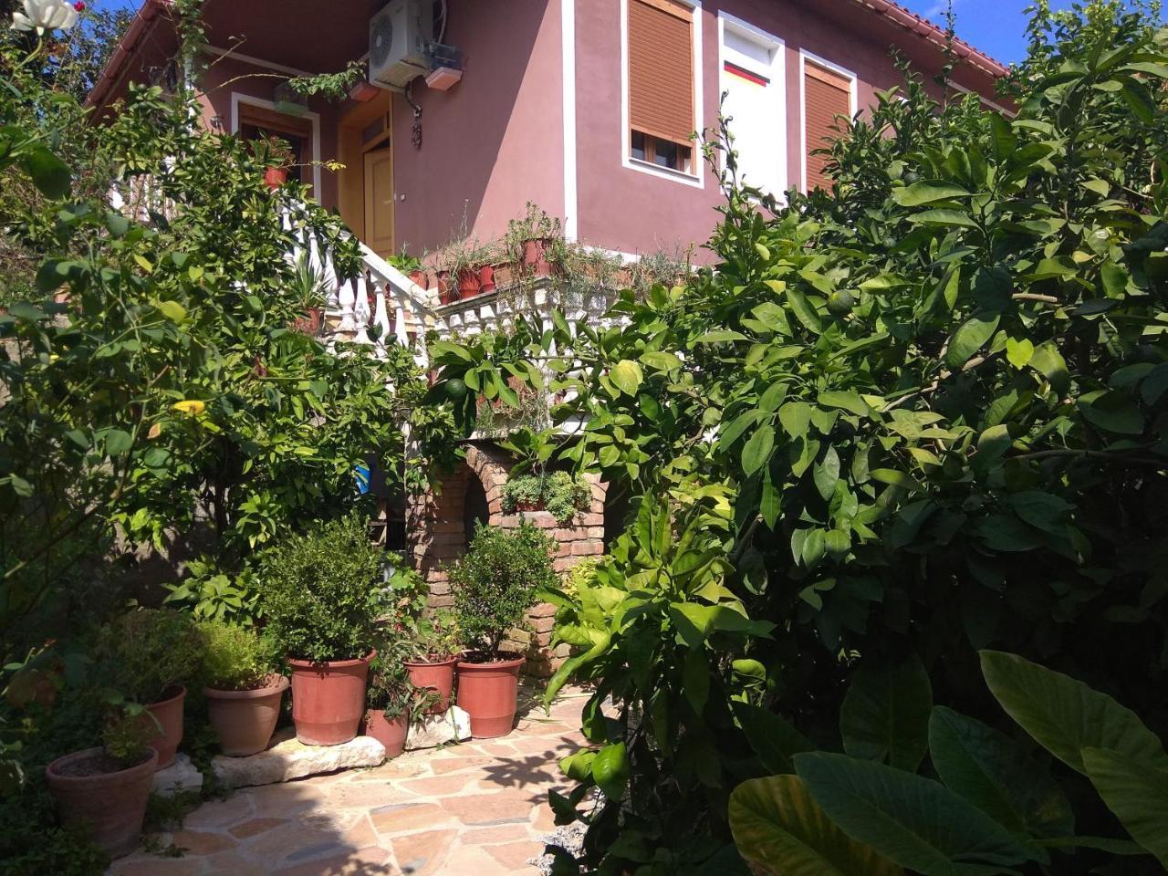 Guesthouse Hlias Gloria Berat Exterior foto